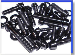 Carbon Steel Fasteners in Indonesia