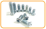  Stainless Steel Euro Screw