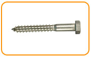  Stainless Steel Lag Bolt